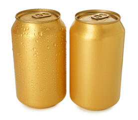 Two blank tin cans isolated on white