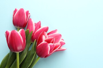 Beautiful tulip flowers on light background, top view. Space for text