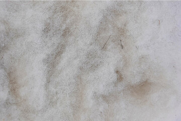 white animal wool background for yarn