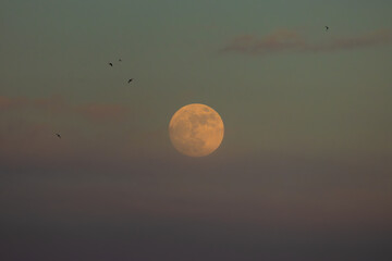  Full moon in May 2025.
