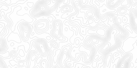 Abstract minimal The patter discovery vector topo map creative discovery White wave grid stripe line map topography. vector geographic contour mounted map background.	
