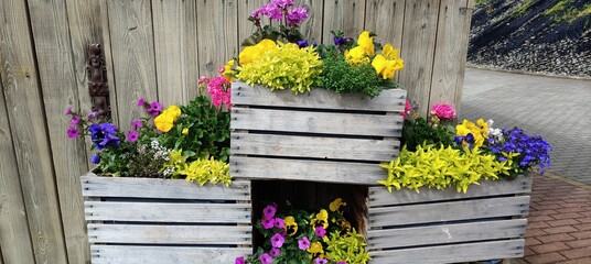 flowers in the city . © MARIA – Nature