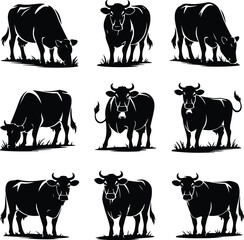 Cow Silhouette Set – Farm Animal Vector Icons Cattle Silhouette Collection – Cow, Bull, Calf Icons Pack