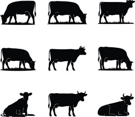 Cow Silhouette Set – Farm Animal Vector Icons Cattle Silhouette Collection – Cow, Bull, Calf Icons Pack