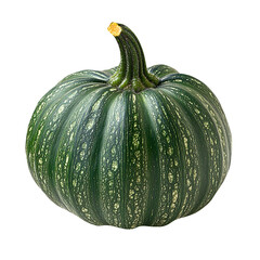 Close up of a green squash or marrow isolated on a White background.