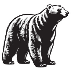 Black Color Polar Bear Silhouette Vector Illustration, Solid White Background. minimal vector design