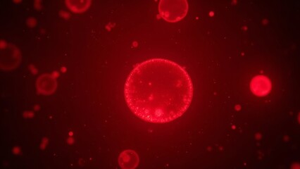 Fototapeta premium Microscopic imaging of red blood cells