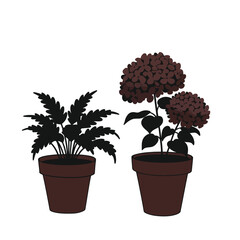 Two pots of plants on white background illustration