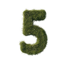 Flower number five on a transparent background. 3D rendering.