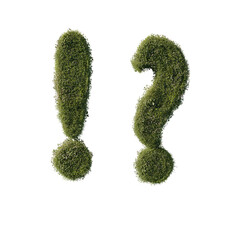 Floral Letter question mark on a transparent background. 3D render.	
