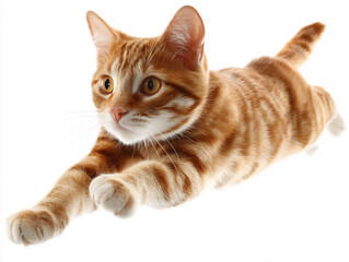 Fototapeta premium Orange tabby cat mid-leap, full body, on a white background
