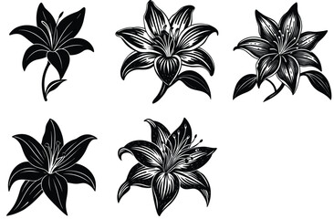 LILY VECTOR FLOWER