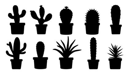 Cactus in pots silhouette
