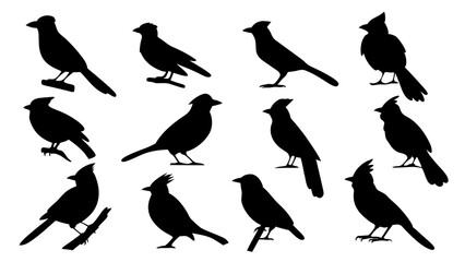 set of blue jay birds silhouette vector on tranparent background