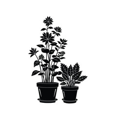 Two pots of plants on white background illustration