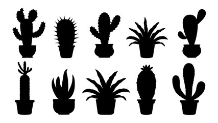 Cactus in pots silhouette