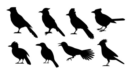 set of blue jay birds silhouette vector on tranparent background
