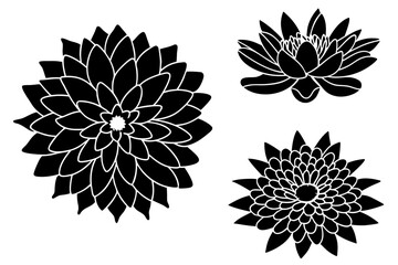 set of lotus flowes silhouette vector on tranparent background