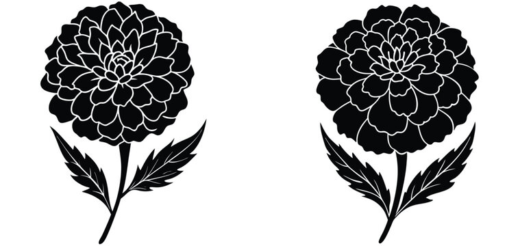 MARIGOLD FIOWER VECTOR