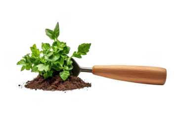 Green plant with garden fork isolated on transparent background