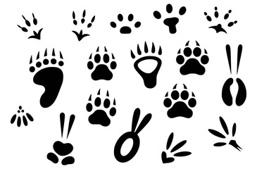 Fototapeta premium Black silhouette collection of various animal paw prints