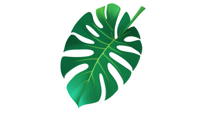 green leaf isolated on white background