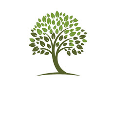 Simple and elegant green tree illustration.