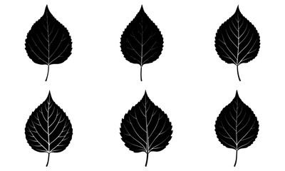 Aspen Leaf Silhouette vector illustration