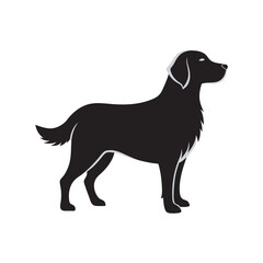Golden Retriever Standing Attentively Silhouette