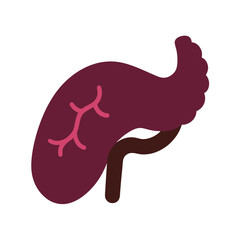 Pancreas Organ In Medical View Silhouette