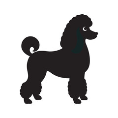 Poodle Standing In Profile View Silhouette