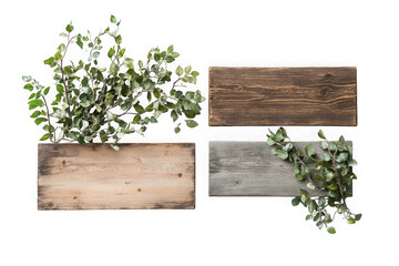 Wooden boxes plants greenery rustic decoration wood texture planks design elements isolated on transparent background
