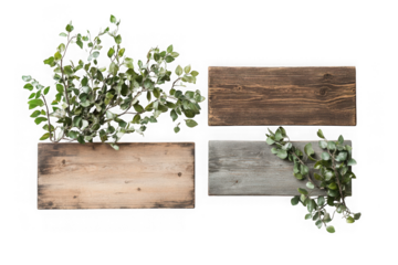 Wooden boxes plants greenery rustic decoration wood texture planks design elements isolated on transparent background