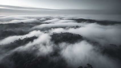 A spectacular overhead view on a foggy day.