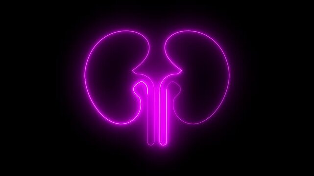 Glowing Neon Kidney Icon Isolated,  Motion Graphic Representing Health, Organ Function, and Medical Treatment on black background