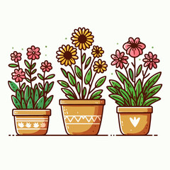 flowers in pots