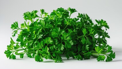 Obraz premium Isolated parsley against a backdrop, with full depth of field and clipping path