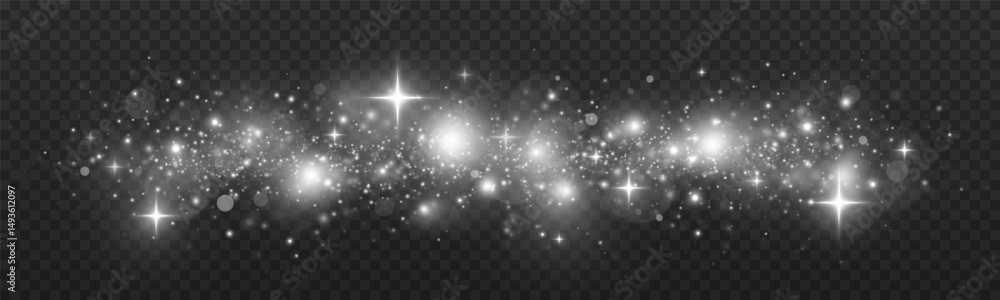 Wall mural magical particles of dust on transparent background. blurring bokeh effect with sparks . christmas l