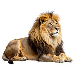 Obraz premium Untitled design - “Sitting African Lion with Majestic Mane, PNG Isolated”And transparent the background.