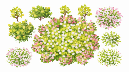 Top View Collection of Blooming Shrubs & Trees