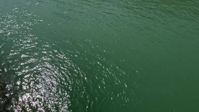 Ganga River Water in Haridwar
