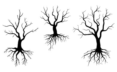 Silhouettes of leafless trees with roots vector illustration