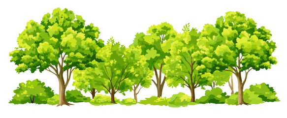 Fototapeta premium Green Trees Row, Lush Foliage, Nature Scene Illustration