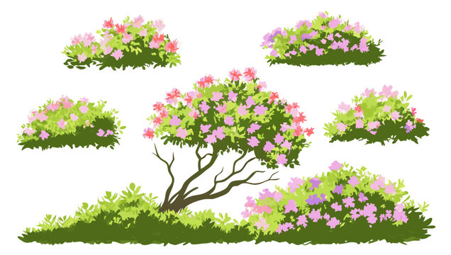 Hand-drawn Rhododendron Bushes & Tree Illustrations