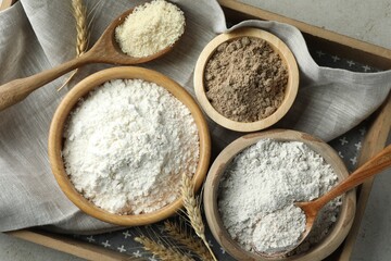Different types of flour on light grey table, top view
