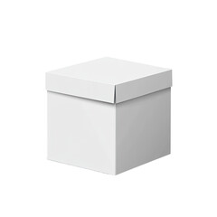 Blank white square gift box (1)