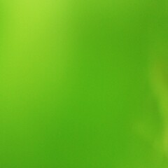 Abstract green gradient background texture. Green Gradient Background. Nature Background.