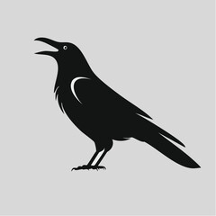 Fototapeta premium Calling Crow Silhouette with Open Beak — Flat 2D Vector