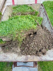 Grasnarbe und Erde in der Schubkarre