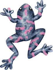 watercolor frog